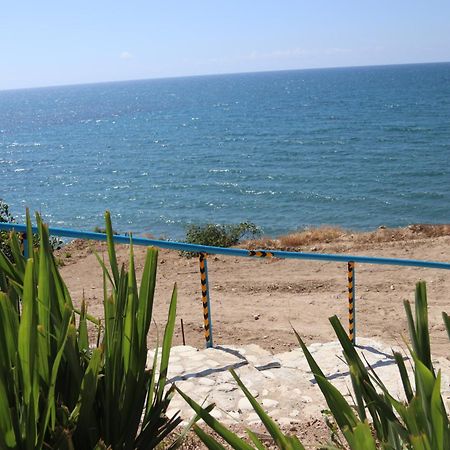 Summer Dream Cyprus Maroni Екстериор снимка