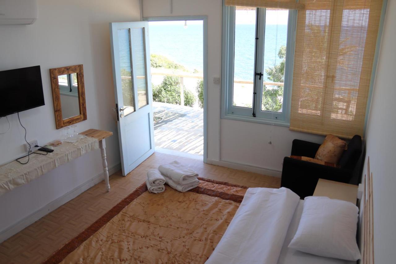 Summer Dream Cyprus Maroni Екстериор снимка
