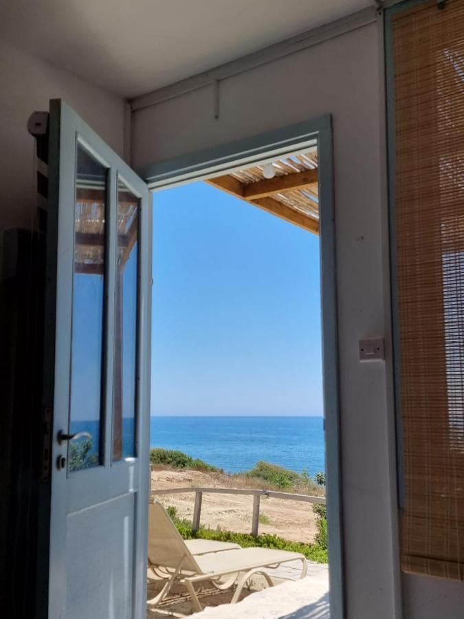 Summer Dream Cyprus Maroni Екстериор снимка