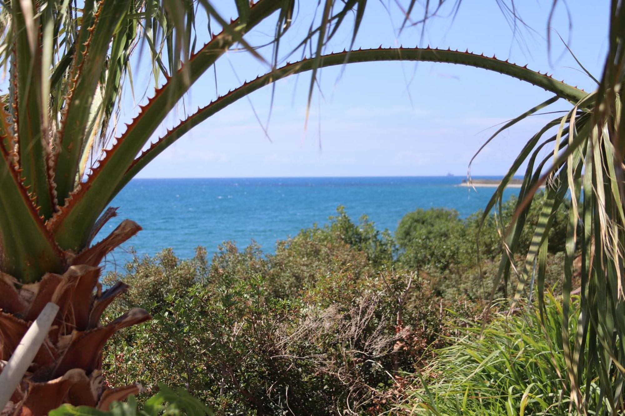 Summer Dream Cyprus Maroni Екстериор снимка